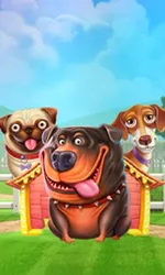 The Dog House