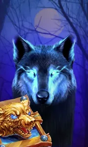 Book Of The Night Wolf