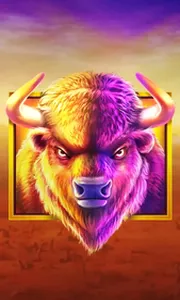 Buffalo King